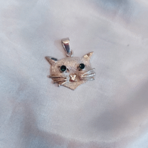 Gato en plata  950